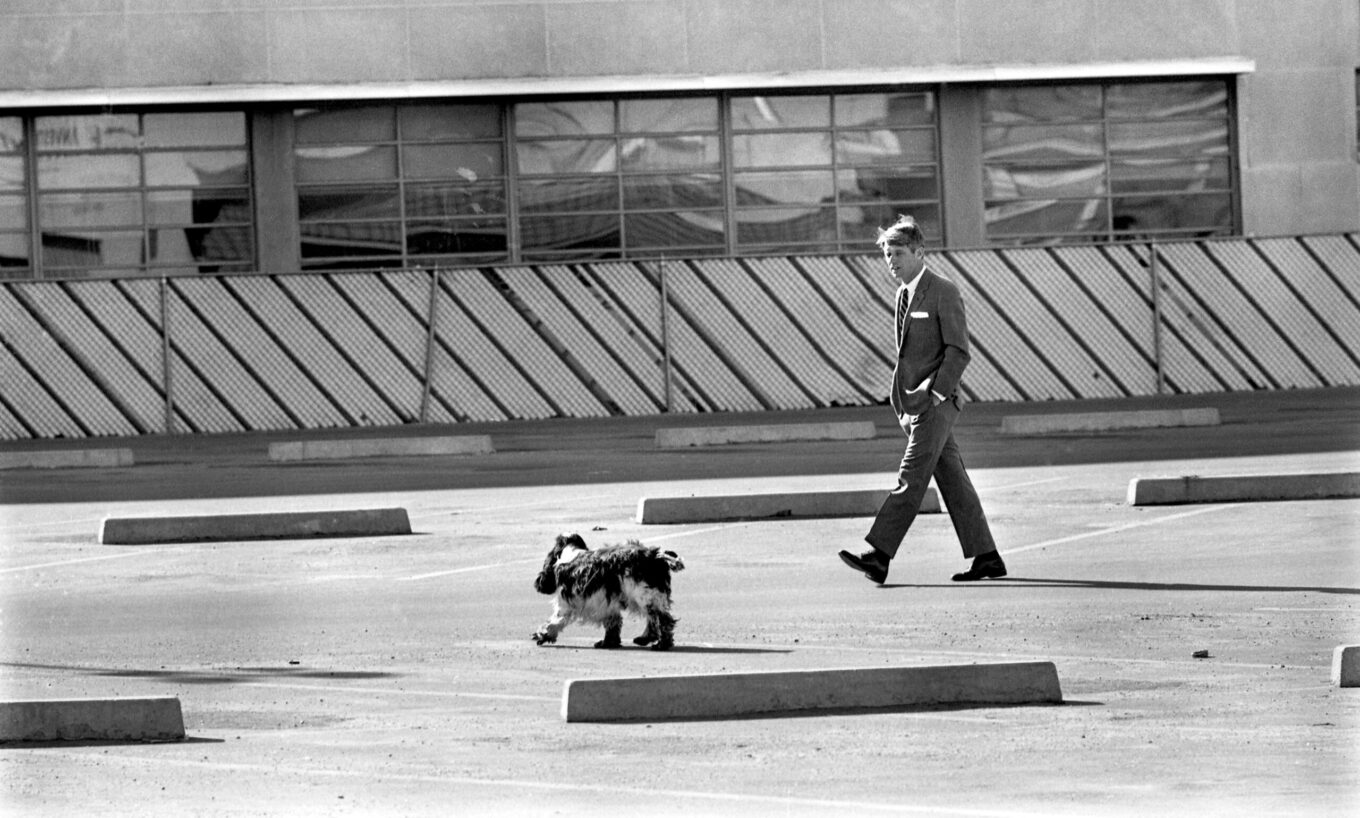 Robert F. Kennedy seen with his dog Freckles, while campaigning for the Presidency of the United States, 1968