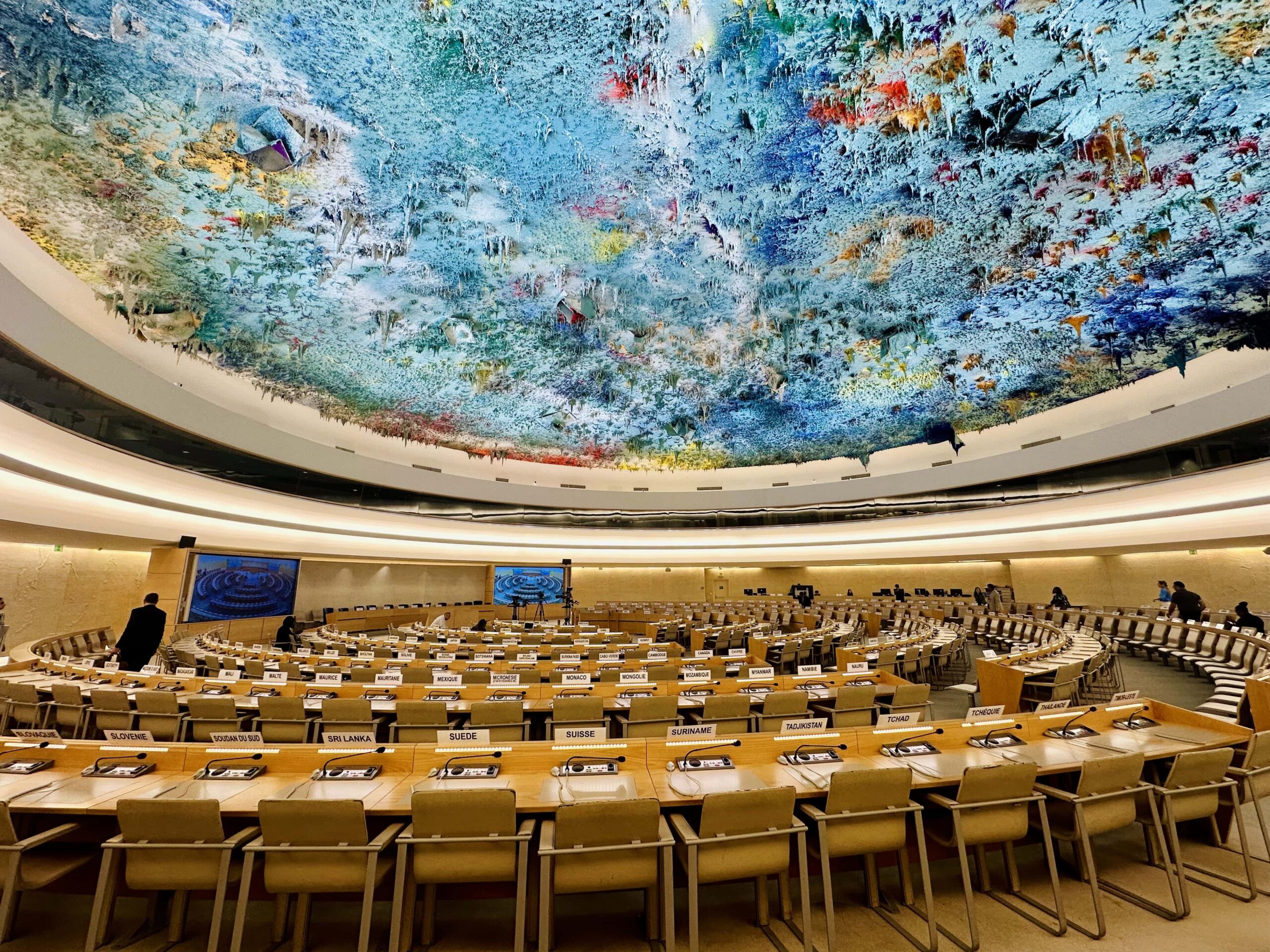 Human Rights Groups Urge United Nations Racial Justice Body to Address Legal Barriers for Victims of Police Violence
