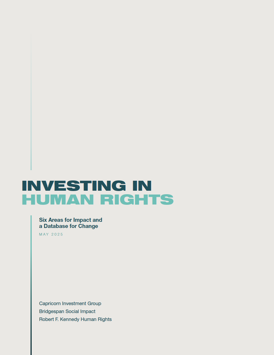 Investing in Human Rights: Six Areas for Impact and a Database for Change