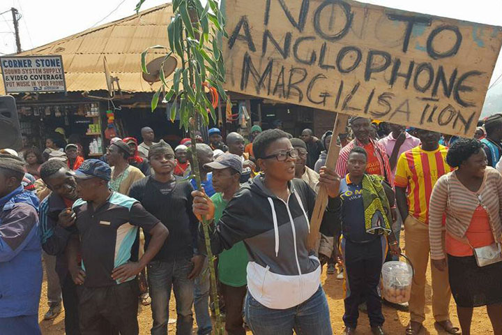 Don’t Pull the Ladder: Ending TPS for Cameroonians Now Creates Risk Without a Plan